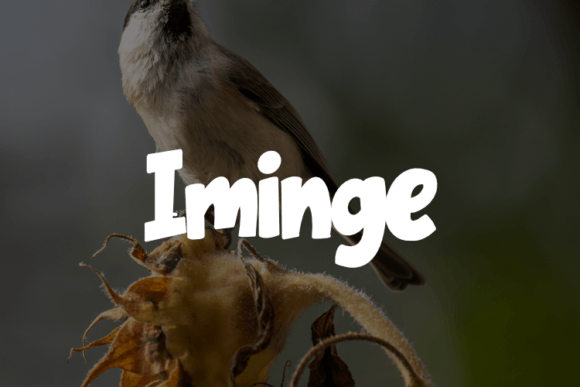 Iminge: The Script Handwritten Font for Scroll-Stopping Designs